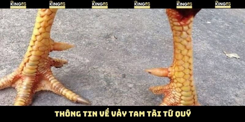 Vảy Tam Tài Tứ Quý – Bí Kíp Chọn Chiến Kê Hiệu Quả Từ King88 2 Nội dung sơ lược về loại vảy tam tài, tứ quý