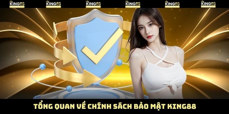 Chính Sách Bảo Mật King88 - Đảm Bảo An Toàn Khách Hàng 1 Tổng quan chi tiết về chính sách bảo mật King88