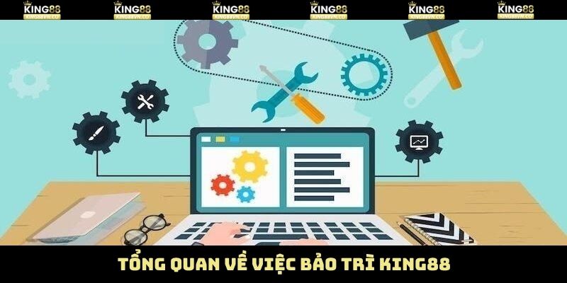 Khái quát thông tin về hoạt động nâng cấp