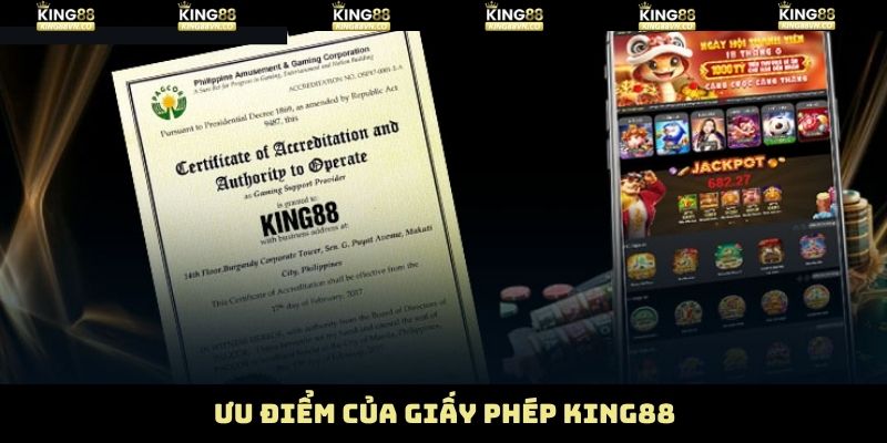 Thông tin cơ bản xuất hiện trong giấy phép King88